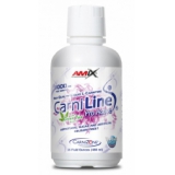 Amix - CarniLine ProActive 480 ml